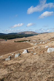 Looking north beyond the Black Garpel