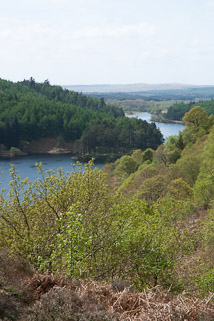 Loch Trool