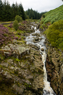 Gala Lane Waterfall