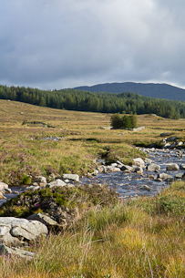 Sheepfold