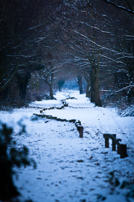 Winding Wirral Way